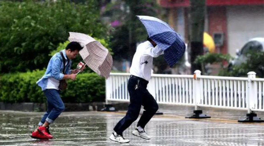 9號臺風(fēng)“馬鞍”生成！金環(huán)電器提醒大家要注意的事項