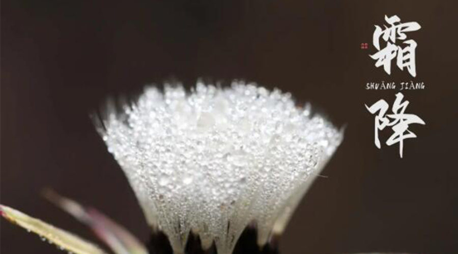 霜降時節(jié)！金環(huán)電器提醒大家要注意的事項