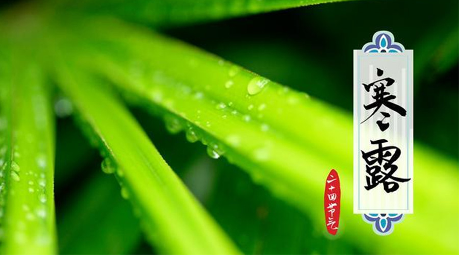 寒露時(shí)節(jié)到！金環(huán)電器提醒這些干衣事項(xiàng)要注意