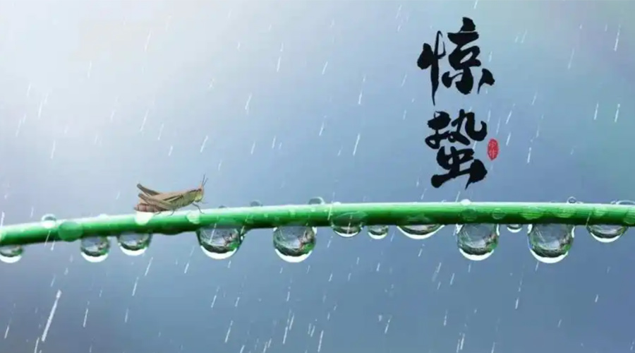 驚蟄時(shí)節(jié)！金環(huán)電器提醒大家干衣要注意這些