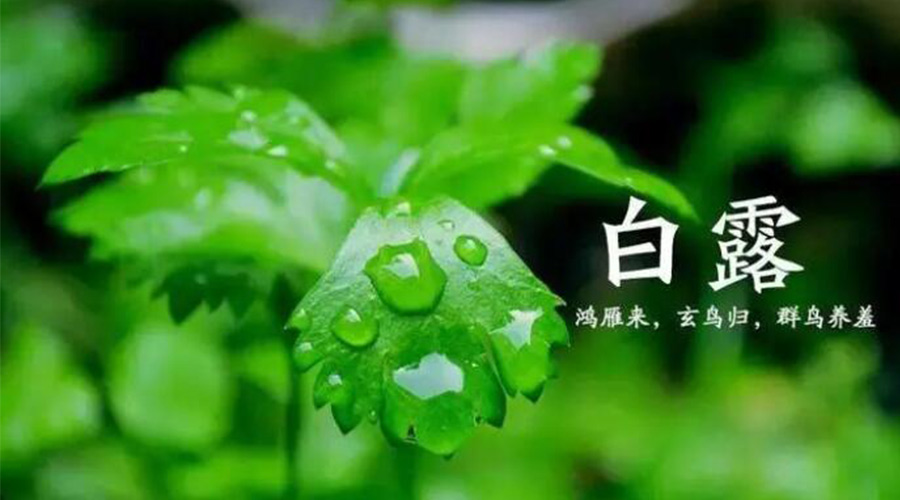白露時(shí)節(jié)！金環(huán)電器提醒大家要注意的事項(xiàng)