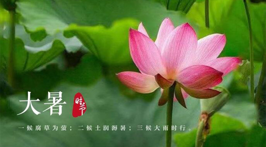 大暑時(shí)節(jié)！金環(huán)電器提醒大家要注意的事項(xiàng)